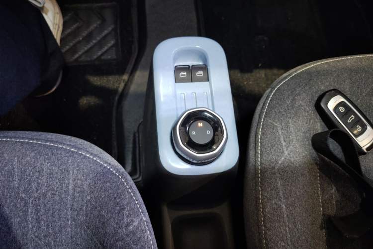 Used  Panda 2024 Panda Mini 200km Endurance Bear
