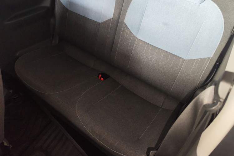 Used  Panda 2023 Panda Mini 200km Endurance Bear
