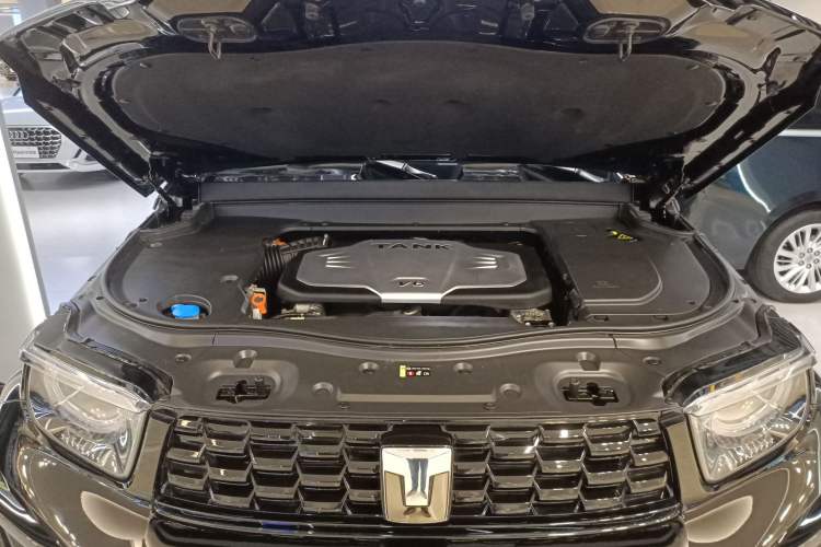 Used Tank 700 New Energy 2024 Hi4-T Extreme Edition
