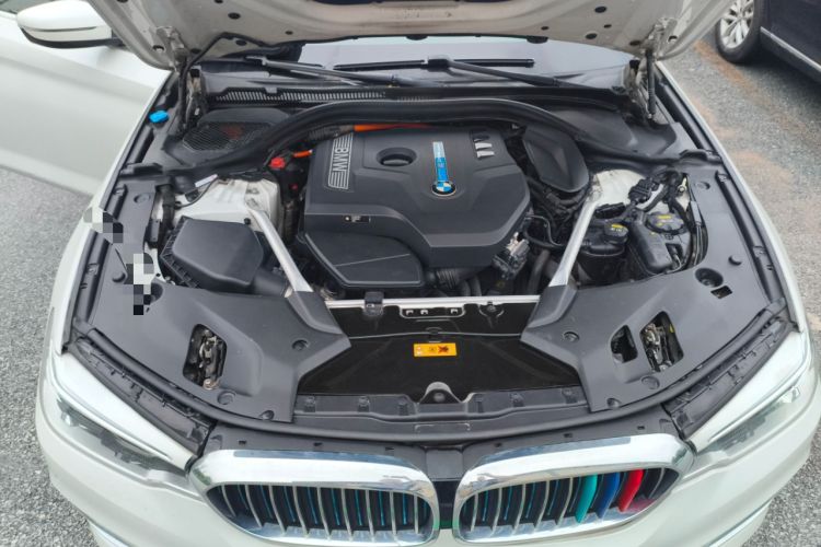 Used BMW 5 Series New Energy 2019 530Le Luxury Package
