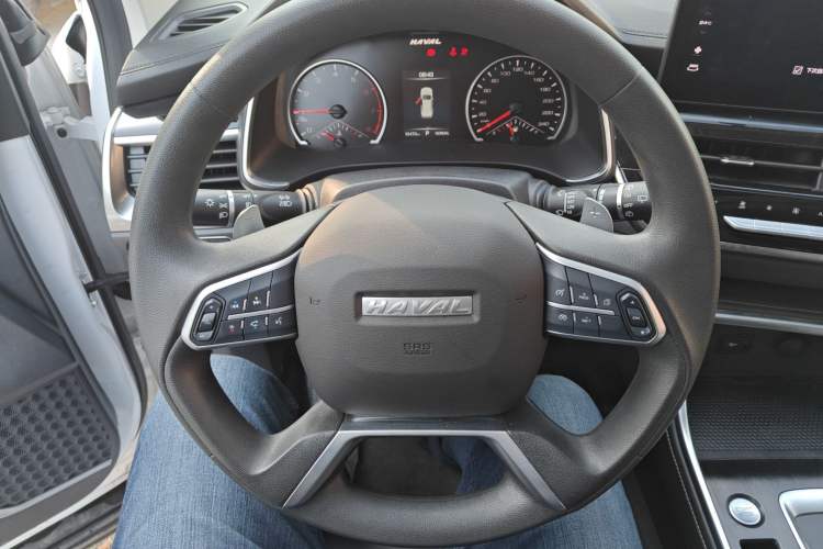 Used Haval H6 2023 National Trend Edition 1.5T Automatic Urban Version
