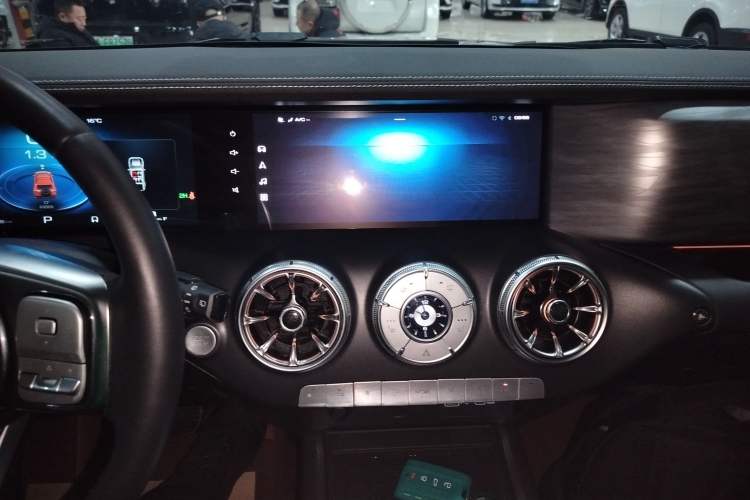 Used Tank 300 2024 2.0T Conqueror
