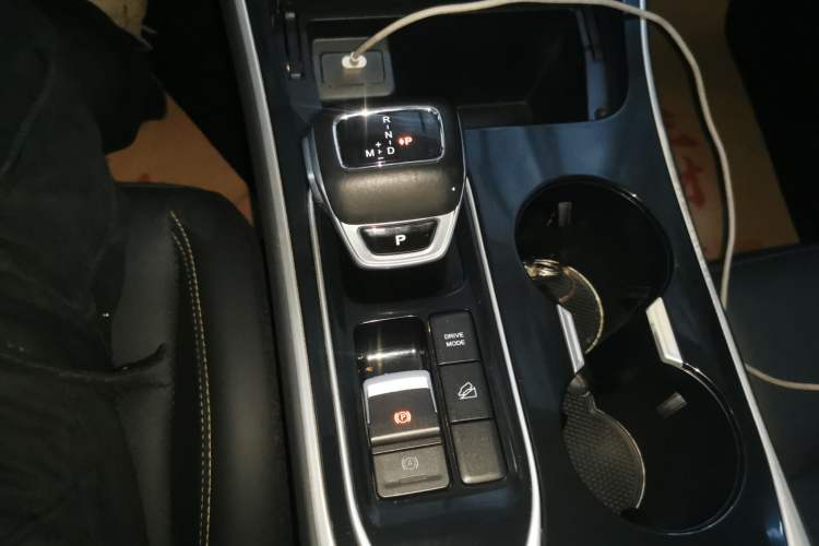 Used FORTHING T5 EVO 2024 Kungbiao Edition 1.5TD DCT Platinum Model