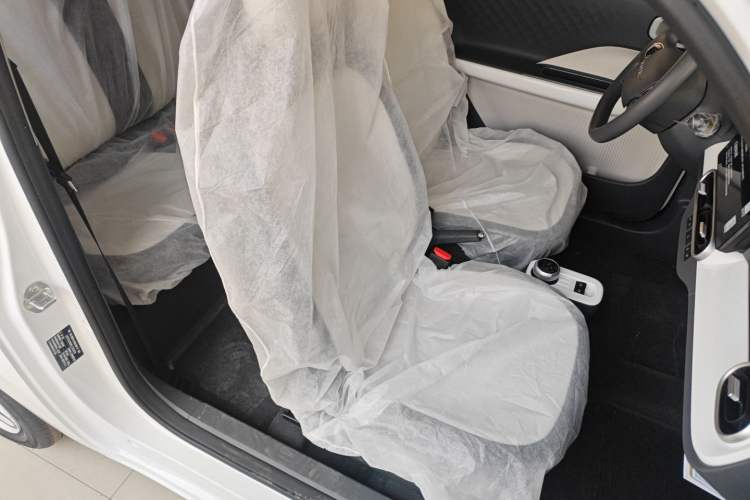 Used  Panda 2025 210 km – Yuanqi Bear
