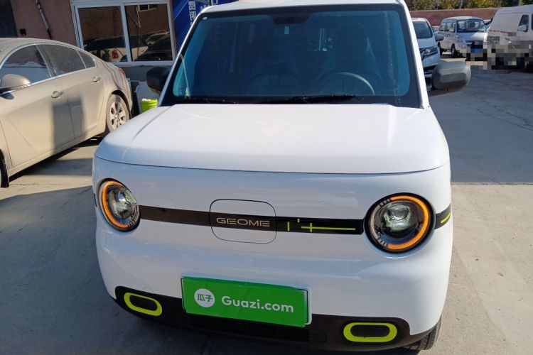 Used  Panda 2025 210 km – Yuanqi Bear
