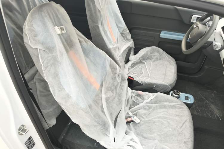 Used  Panda 2024 Panda Mini 200km Endurance Bear