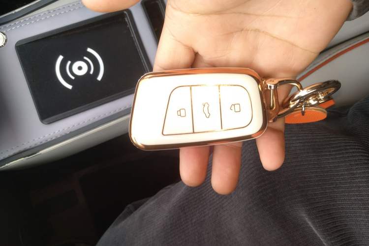 Used Chery Little Ant 2024 Facelifted 321km Beloved Edition
