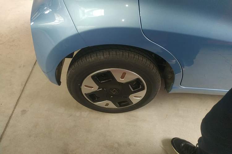 Used SOL E10X 2022 Flower Fairy Design Four-Leaf Clover
