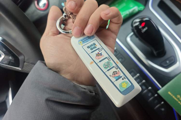 Used Wey VV7 2020 2.0T Ultra-Luxury Version