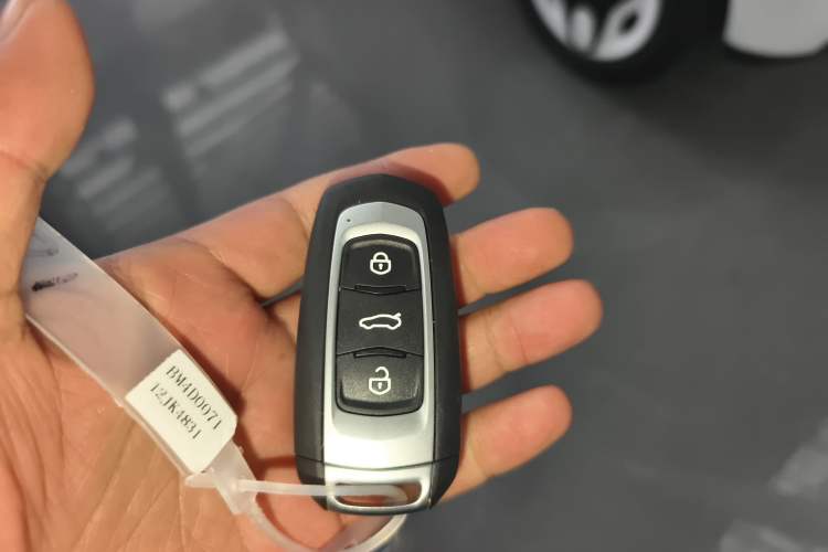 Used  Panda 2025 210 km – Yuanqi Bear
