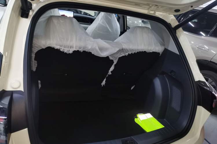 Used  Geome 2025 310km Dream Edition