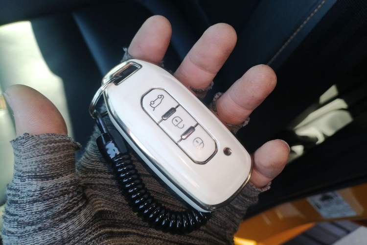 Used Ford Ranger 2023 Wild Terrain 4x4 Automatic Version Gasoline
