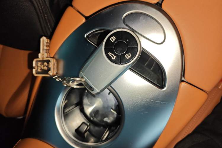 Used ORA Lightning Cat 2022 555 km Luxury Edition
