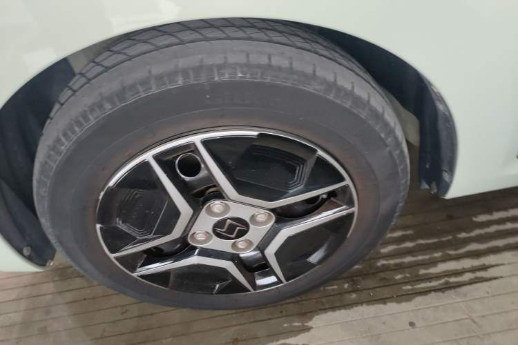 Used SOL E10X 2022 Flower Fairy Design Four-Leaf Clover
