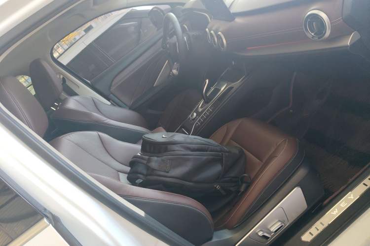 Used Wey VV6 2020 2.0T Two-Wheel Drive Smart Protection+
