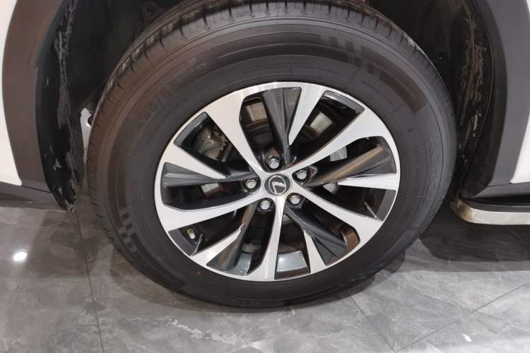 Used Lexus RX 2020 300 Two-Wheel Drive Elite Edition China VI Standard