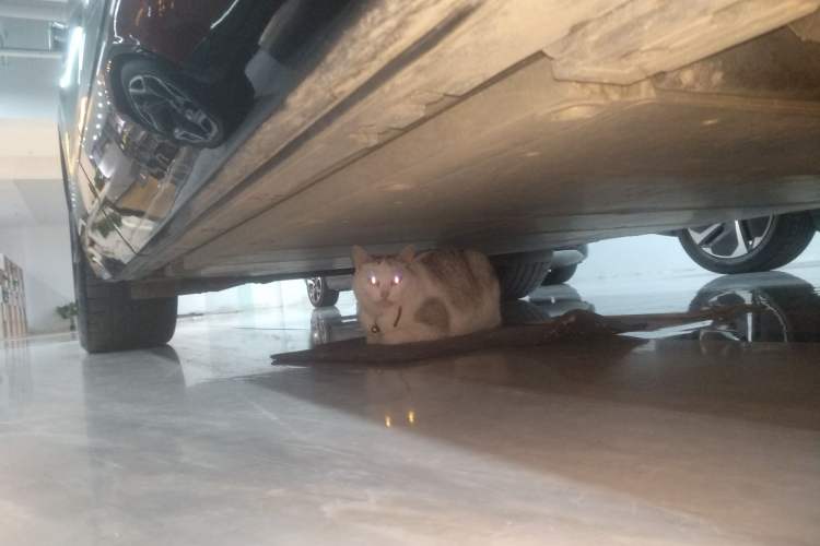 Used  ELETRE 2023 ELETRE S+
