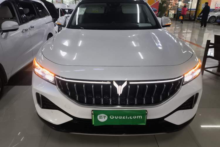 Used VOYAH FREE 2021 Two-Wheel Drive Standard Pure Electric City Edition