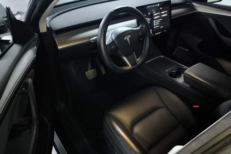 Used Tesla Model Y 2021 Standard Range Rear-Wheel Drive Version
