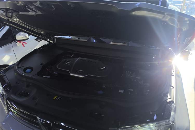 Used Tank 700 New Energy 2024 Hi4-T Ultimate Edition
