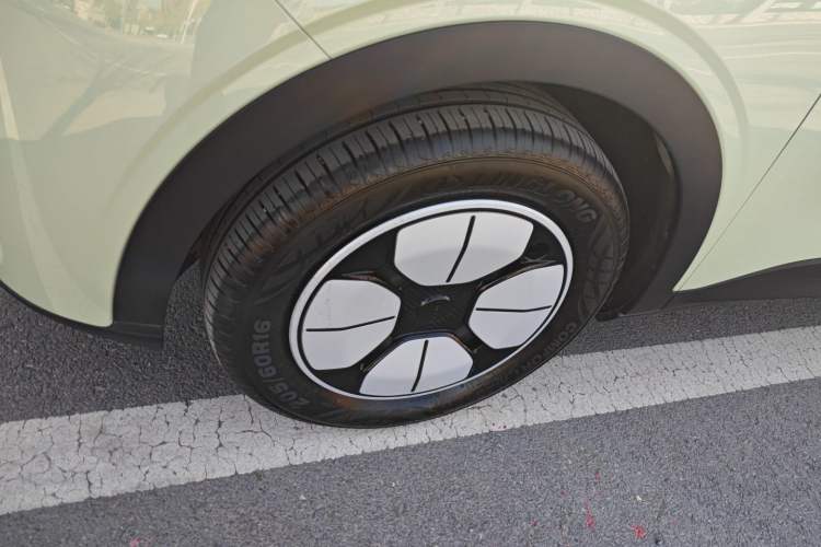 Used  Geome 2025 310km Youth Edition
