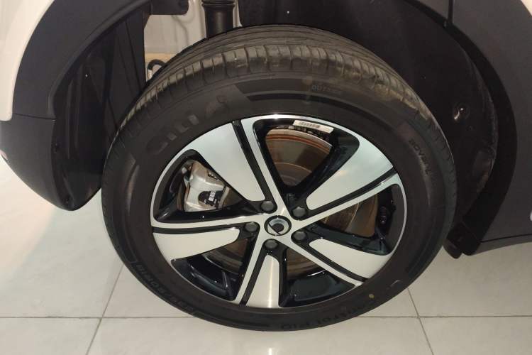 Used  #1 2024 Dynamic Standard Edition
