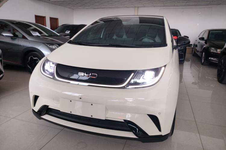Used BYD Dolphin 2024 Honor Edition 420km Fashion Version