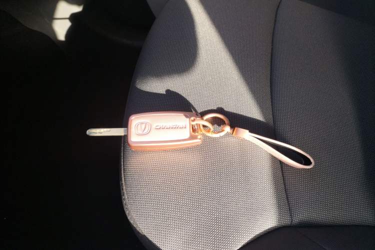 Used  Lumin 2022 155 km – Refreshingly Sweet Edition
