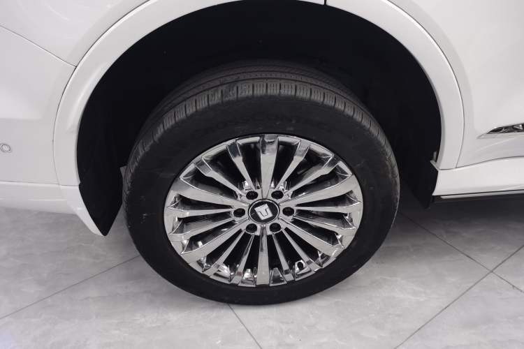 Used Tank 500 New Energy 2023 Hi4-T
