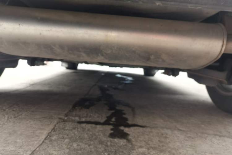 Used Ford Focus 2018 Hatchback Classic 1.6L Automatic Comfort Plus SmartDrive Edition