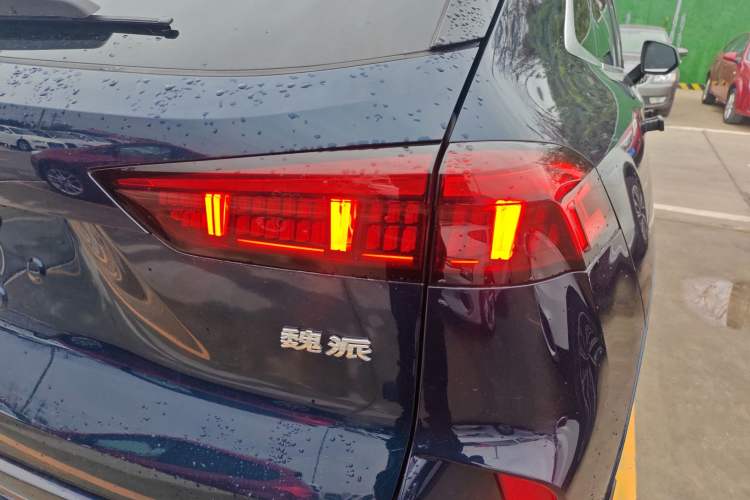 Used Wey Mocha 2021 2.0T Two-Wheel-Drive Ultra-Strong Version
