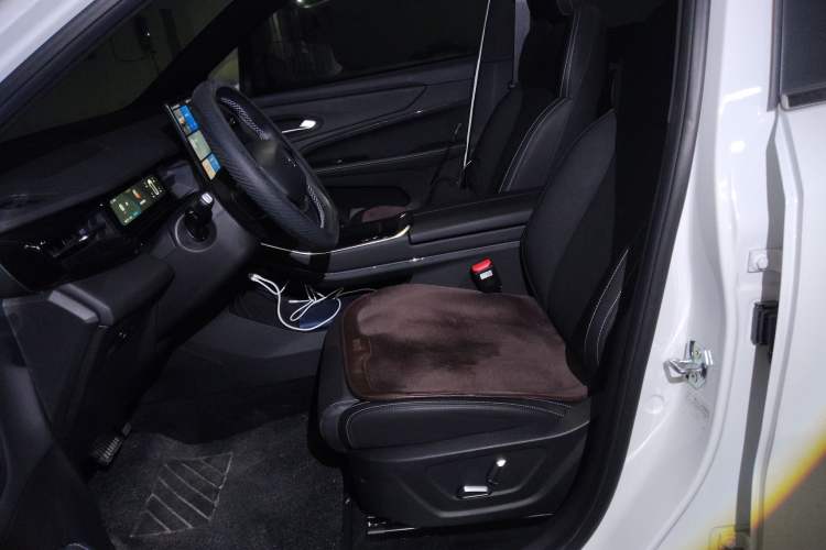 Used Livan Livan 7 2024 450km Executive Version