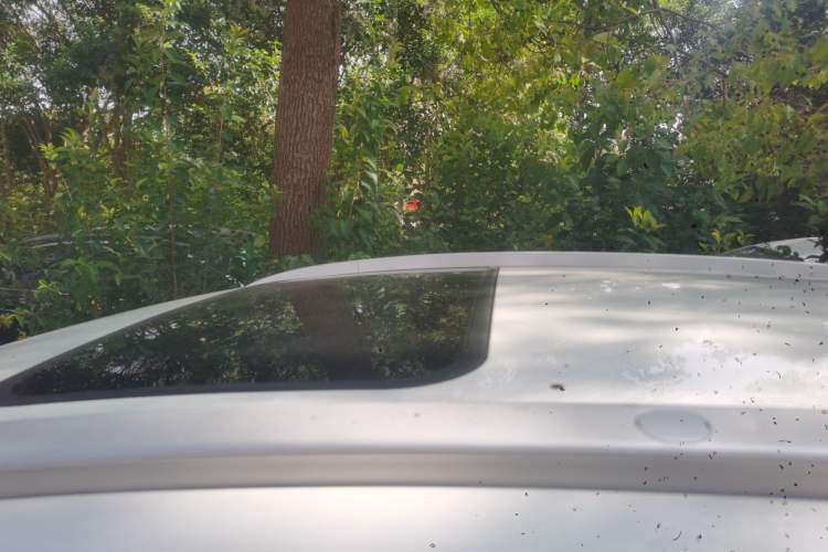 Used Geely Auto Vision X3 2020 1.5L CVT Luxury Model
