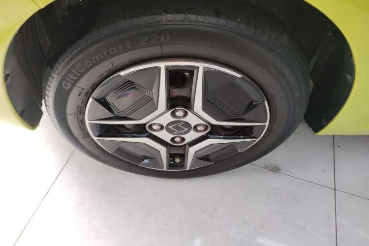 Used SOL E10X 2022 Flower Fairy Design Four-Leaf Clover
