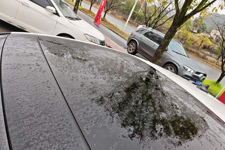 Used Volkswagen Lamando 2022 Lingdu L 280TSI DSG Spicy Edition
