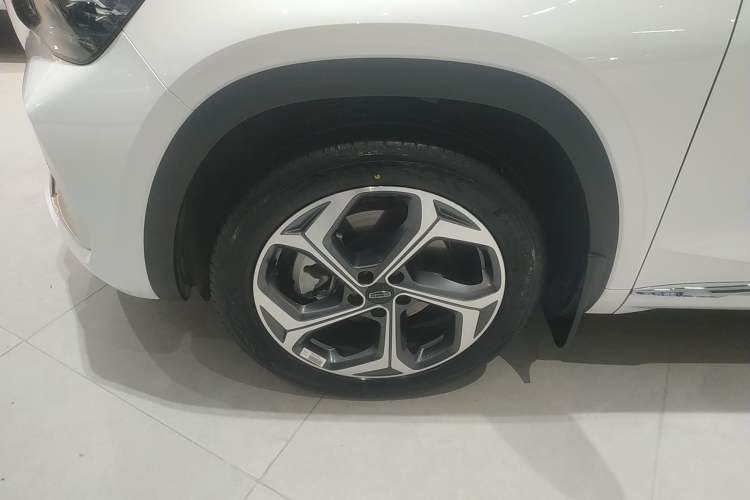 Used Geely Auto Monjaro L 2024 2.0TD DCT EVO Two-Wheel Drive Long-Range Version
