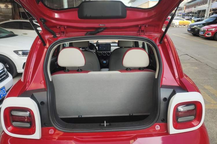 Used ORA Black Cat 2019 351 km Goddess Edition
