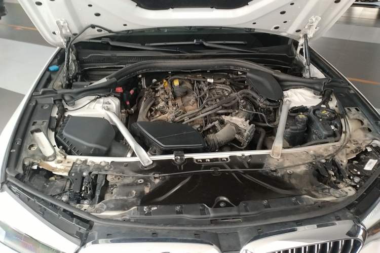 Used BMW 5 Series 2019 530Li Leading Model Luxury Package
