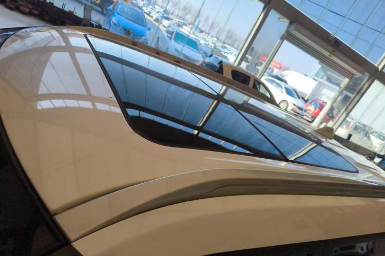 Used Venucia T60EV 2020 AI Enjoyment Model