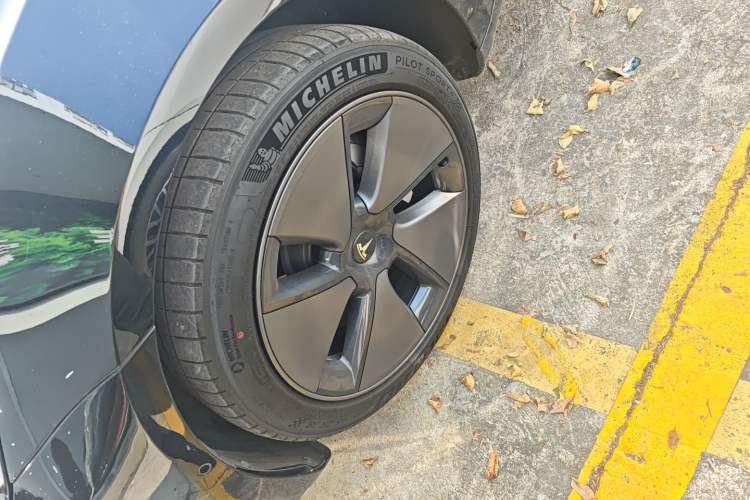 Used Tesla Model 3 2022 Rear-Wheel-Drive Version
