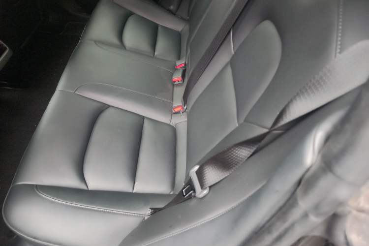 Used Tesla Model 3 2021 Standard Range Rear-Wheel Drive Upgraded Version 3D6
