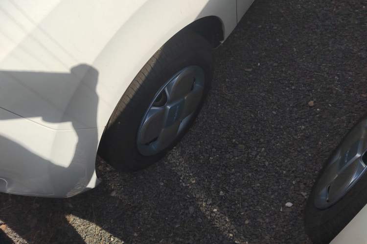 Used  Panda 2024 Panda Mini 200km Endurance Bear
