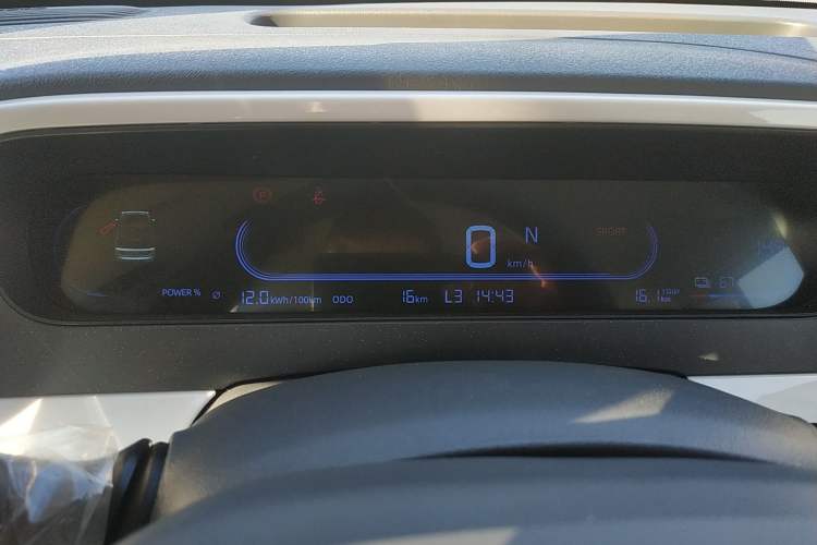 Used  Panda 2025 210 km – Yuanqi Bear
