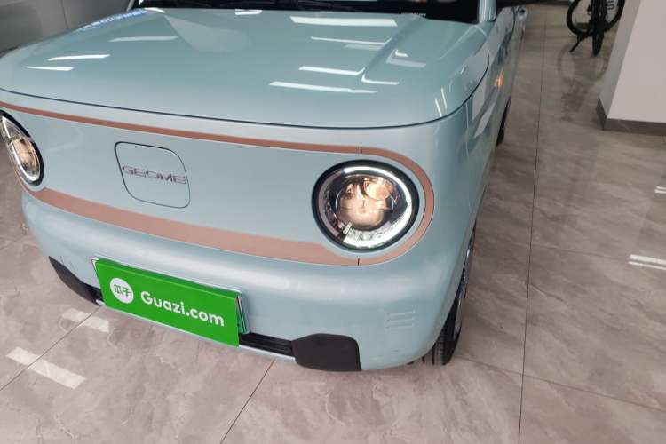 Used  Panda 2024 Panda Mini 200km Endurance Bear
