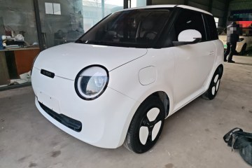 Used Qiyuan Lumin 2023 301km Honey Dew Edition