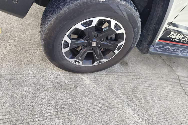 Used Tank 300 New Energy 2024 Hi4-T
