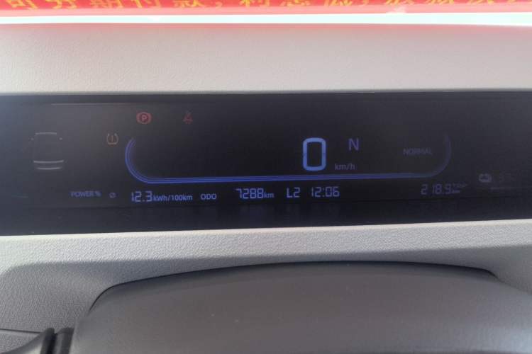 Used  Panda 2024 200km Panda Rider