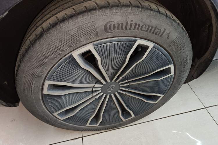 Used  07 2024 Max Extended-Range Edition
