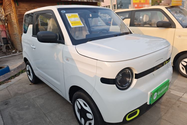 Used  Panda 2025 210 km – Yuanqi Bear
