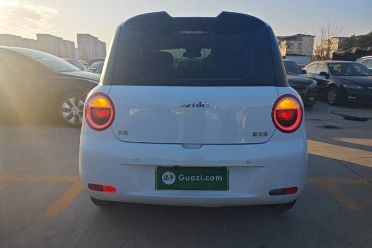 Used  Lumin 2025 205 km Xiangqin Version